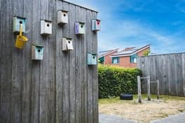 BSO Pret Enzo foto 5