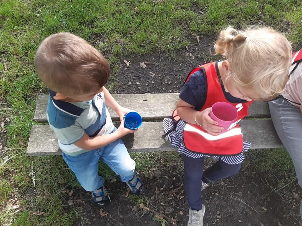 BSO Vries IKC De Vijverstee foto 4