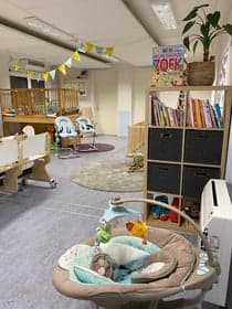 HOPPAS Almkerk de Almgaard 2