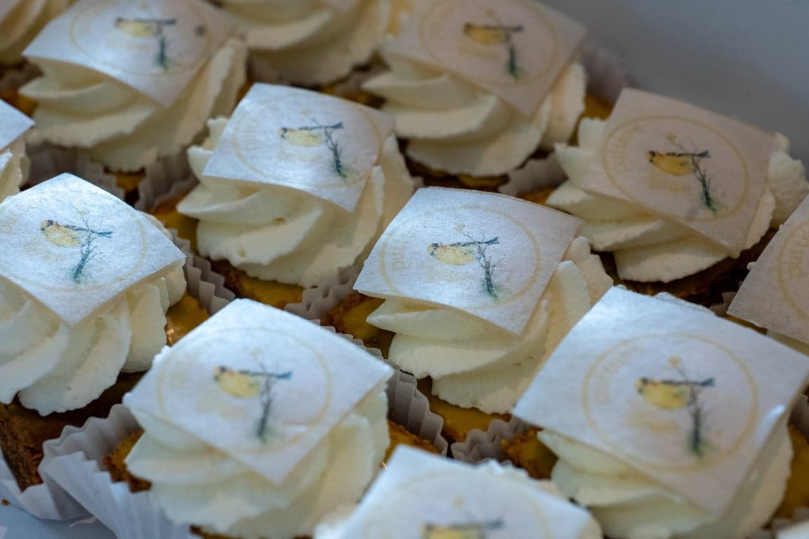 De Krûpelhintsjes foto 7