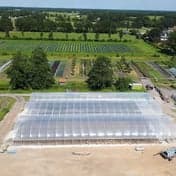 't Hummelhöfke foto 4