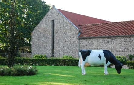 KDV De Beestenboel Heisterhof 2