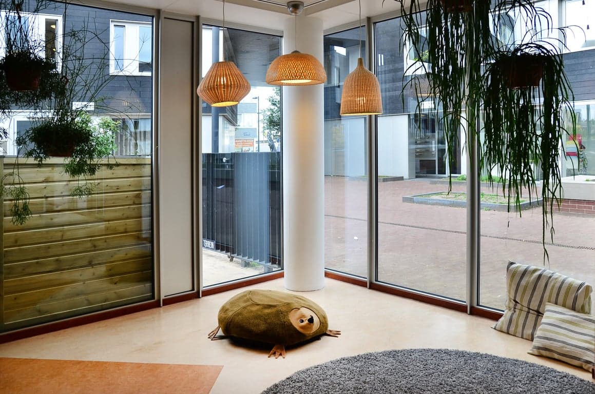 De Kleine Wereld Steigereiland foto 4