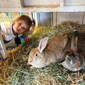 Kindercentrum Ratatouille foto 6