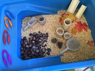 Siemenotje KDV foto 5