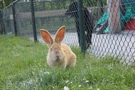 Kinderdagverblijf Buitenpret BV