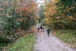 Kinderopvang Beleef Natuurlijk foto 6