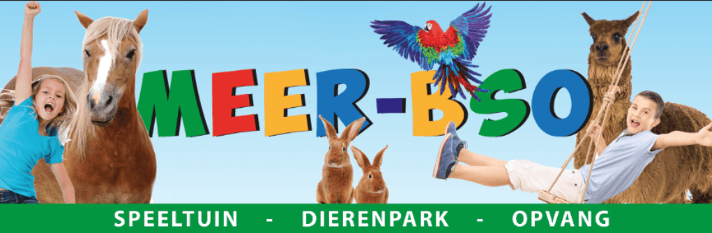 Meer BSO