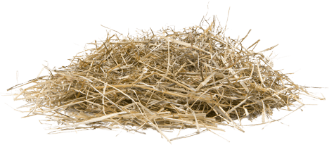 Kinderopvang de Koeienwei foto 7