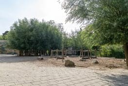 BSO Okidoki Dr. Schaepmanstraat foto 5