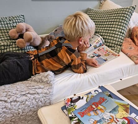 BSO de Paardenbloem 3