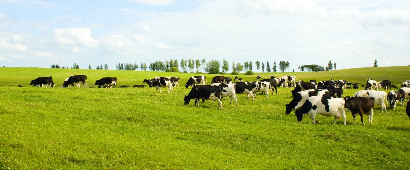 Kinderdagverblijf Natuurlijk Avontuurlijk foto 5