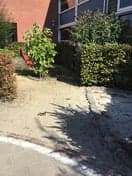 Peuteropvang 't Williplein 3