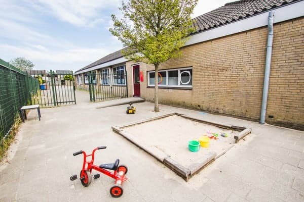 Flierefluiters foto 6