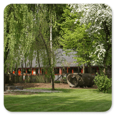 Kinderdagverblijf De Vlieger foto 7