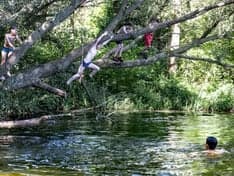 Struin Wijchen foto 4