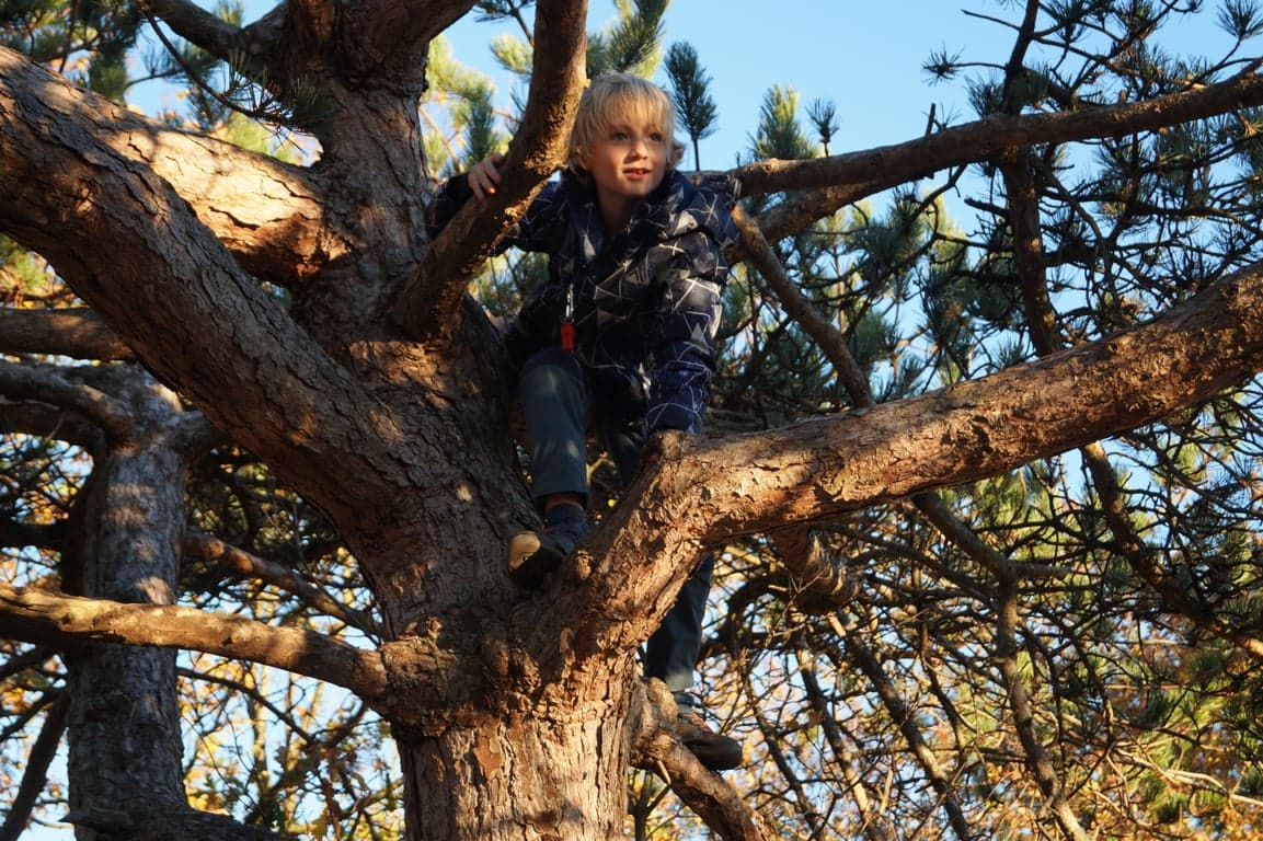 Struin Wijchen foto 7