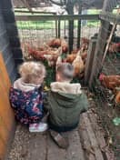 Loge in huis foto 10