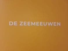 BSO de Zeemeeuwen 3