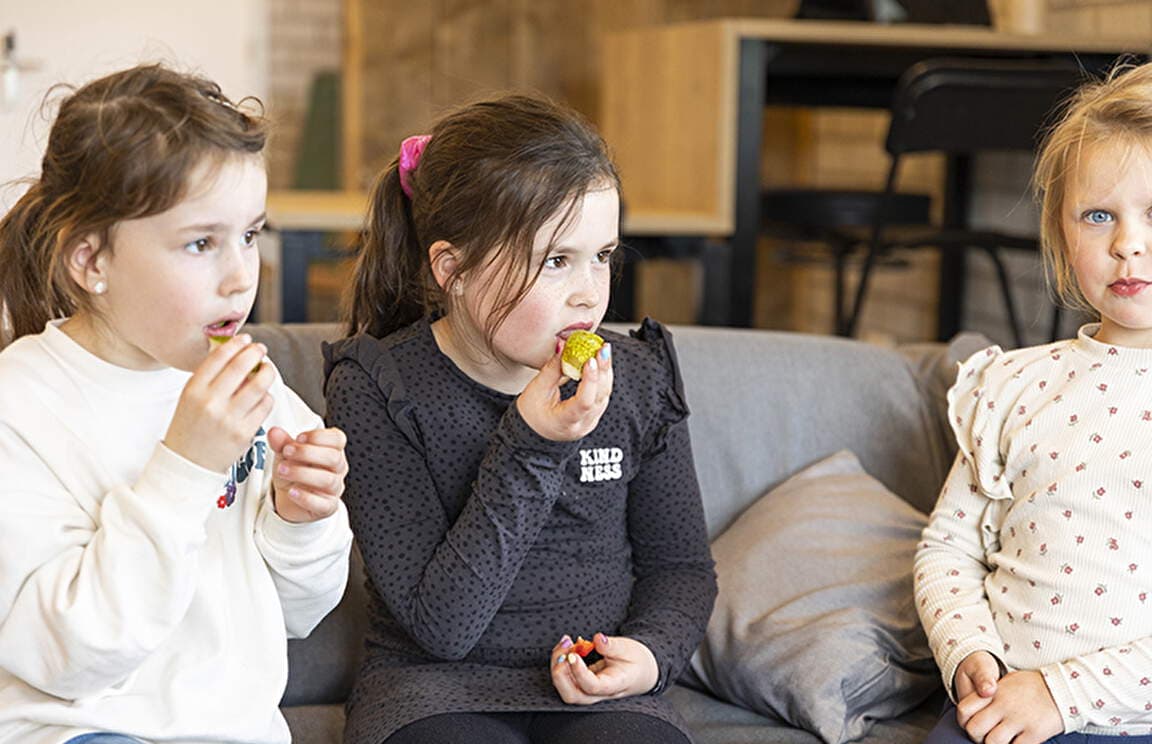 BSO de Zweede foto 5