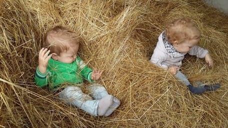 Agrarisch Kinderdagverblijf Hiep Hooi foto 6