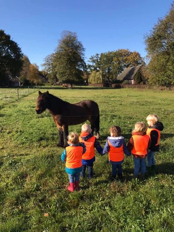 Kinderdagverblijf Eigenwijs foto 5