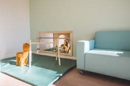 Partou KDV Kampina 7 foto 5