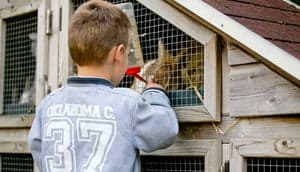 Kinderopvang 't Zonnetje foto 6