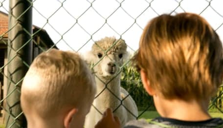 Kinderopvang 't Zonnetje foto 8