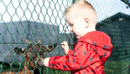 Kinderopvang 't Zonnetje foto 10