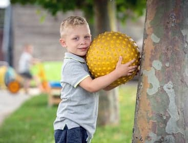 De Stappertjes foto 5