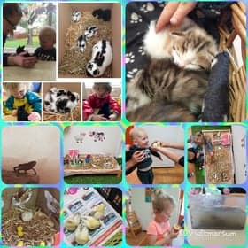 KDV Witmarsum De Bovenkruier 2