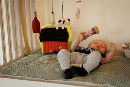 Boerderij kinderopvang Reeshoeve foto 5