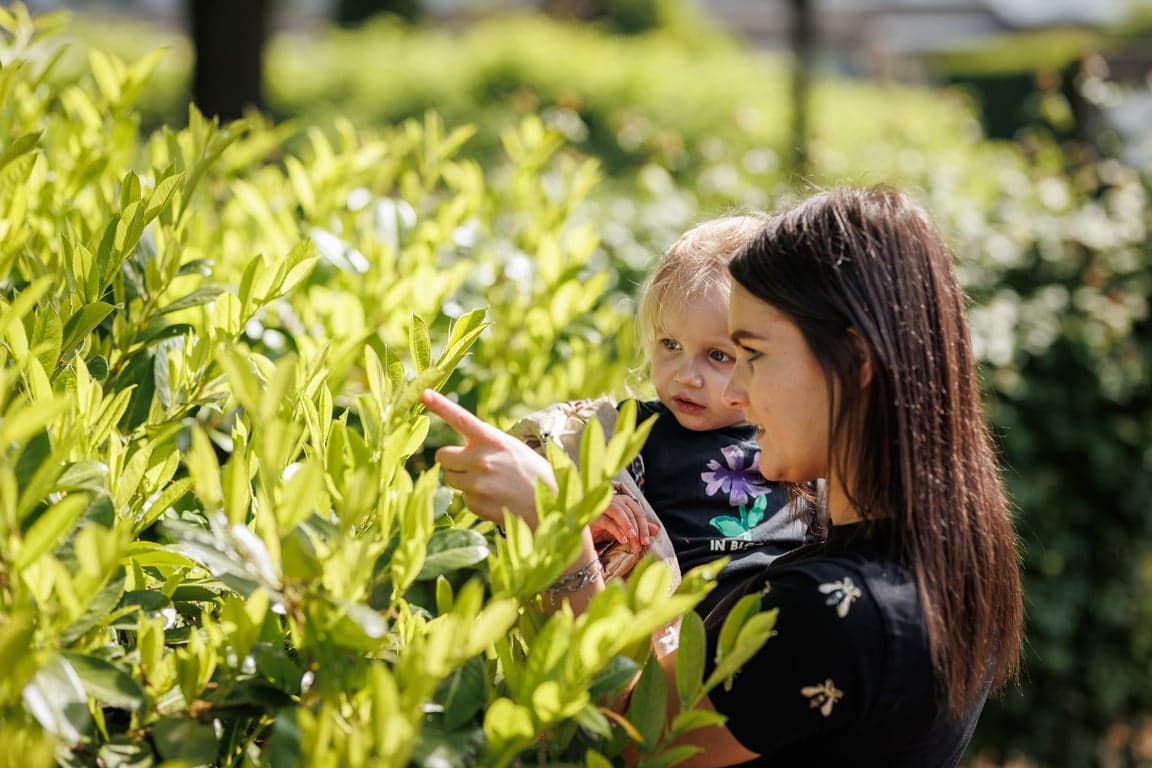 Boerderij kinderopvang Reeshoeve foto 6