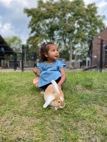 Boerderij kinderopvang Reeshoeve foto 9