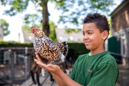 Boerderij kinderopvang Reeshoeve foto 10
