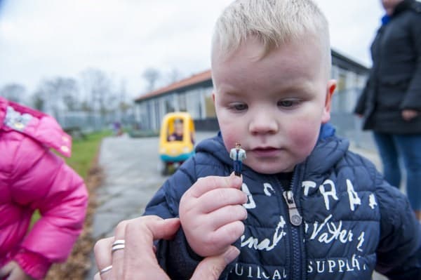 KDV Creiler Woud foto 7