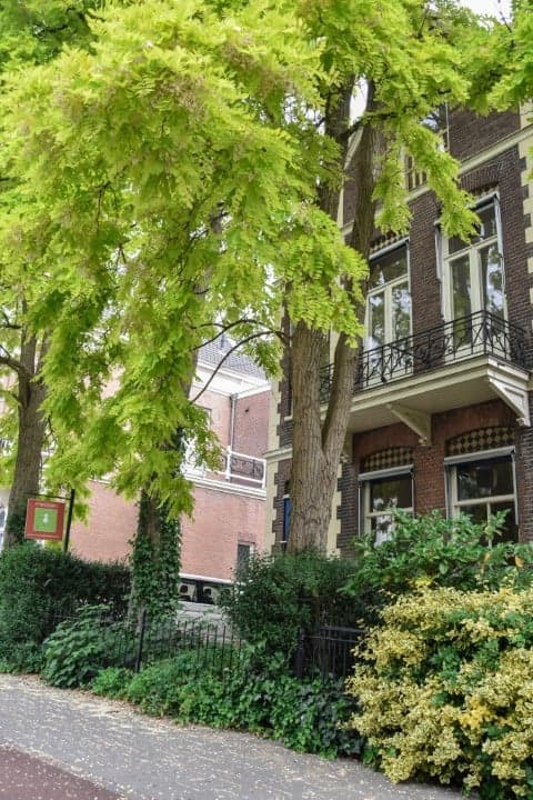 Montessori kinderopvang Sonsbeek/ Centrum foto 5