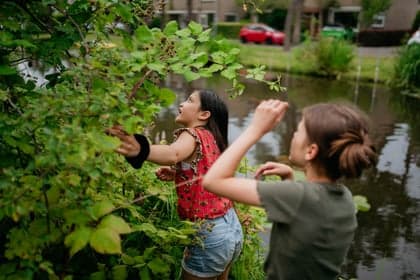 Kinderdagverblijf Het luchtkasteel foto 6