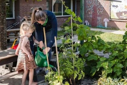 Wiedewei Dorpstienden 3 Ouddorp 3