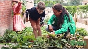 BSO Waldervaart foto 6