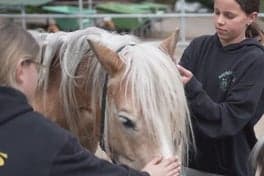 Kindercampus de Groeiwereld foto 7