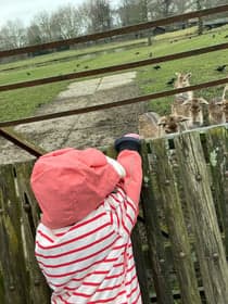 De Gekke Geit foto 6