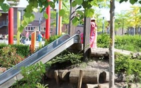 De Bosuiltjes foto 6