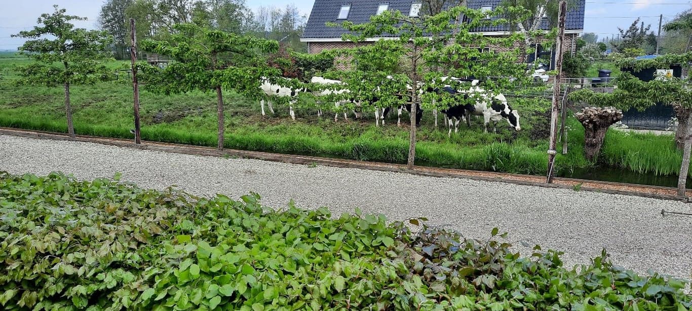 Kinderopvangboerderij Achter 't Potdeksel V.O.F. foto 8