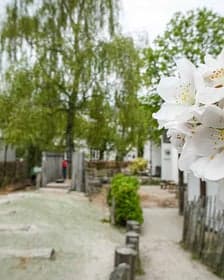 Hestia Rivierenbuurt B.V. foto 5