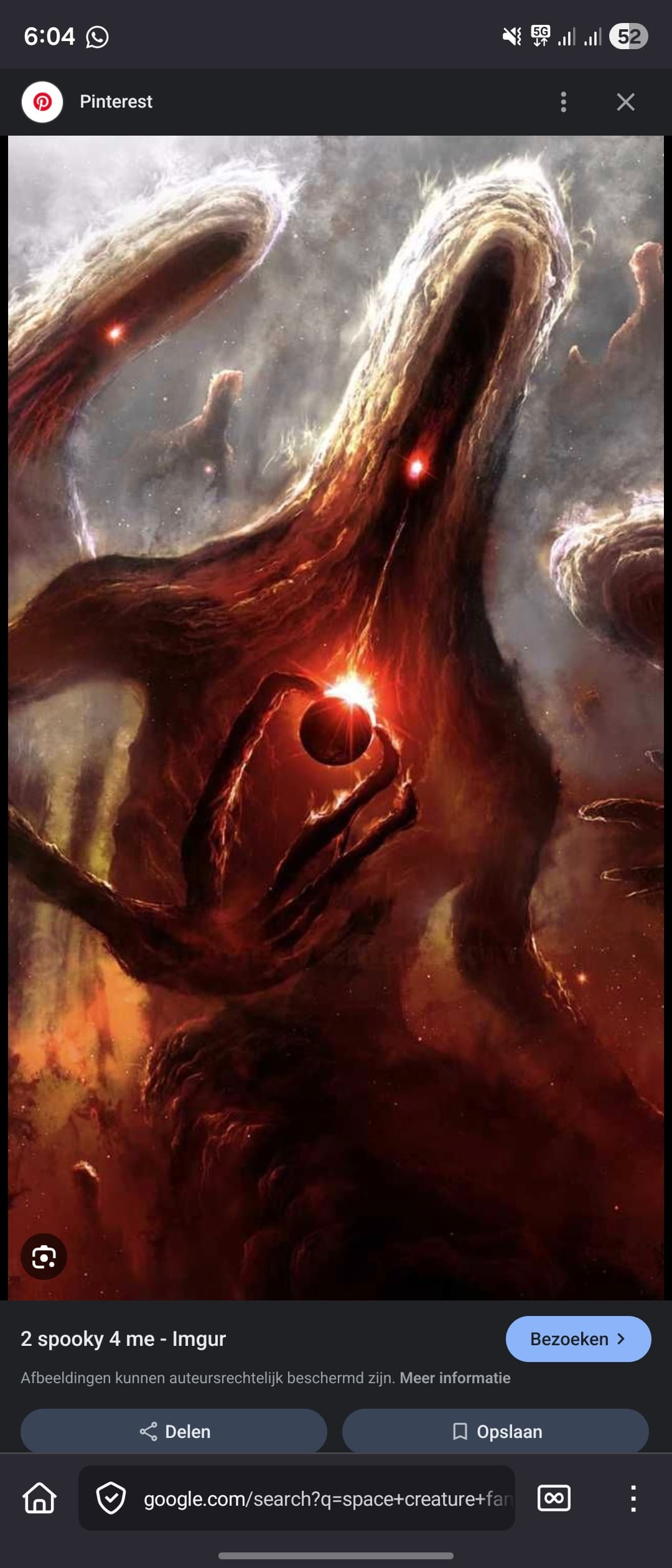 Plekko Test Kinderopvang