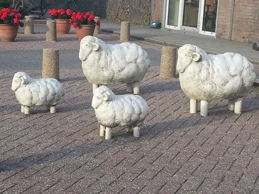 KDV 't Woudlopertje 3