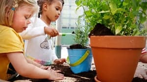 Peuteropvang de Klimladder 2