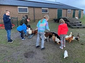 De Scharrelboerderij BSO 3